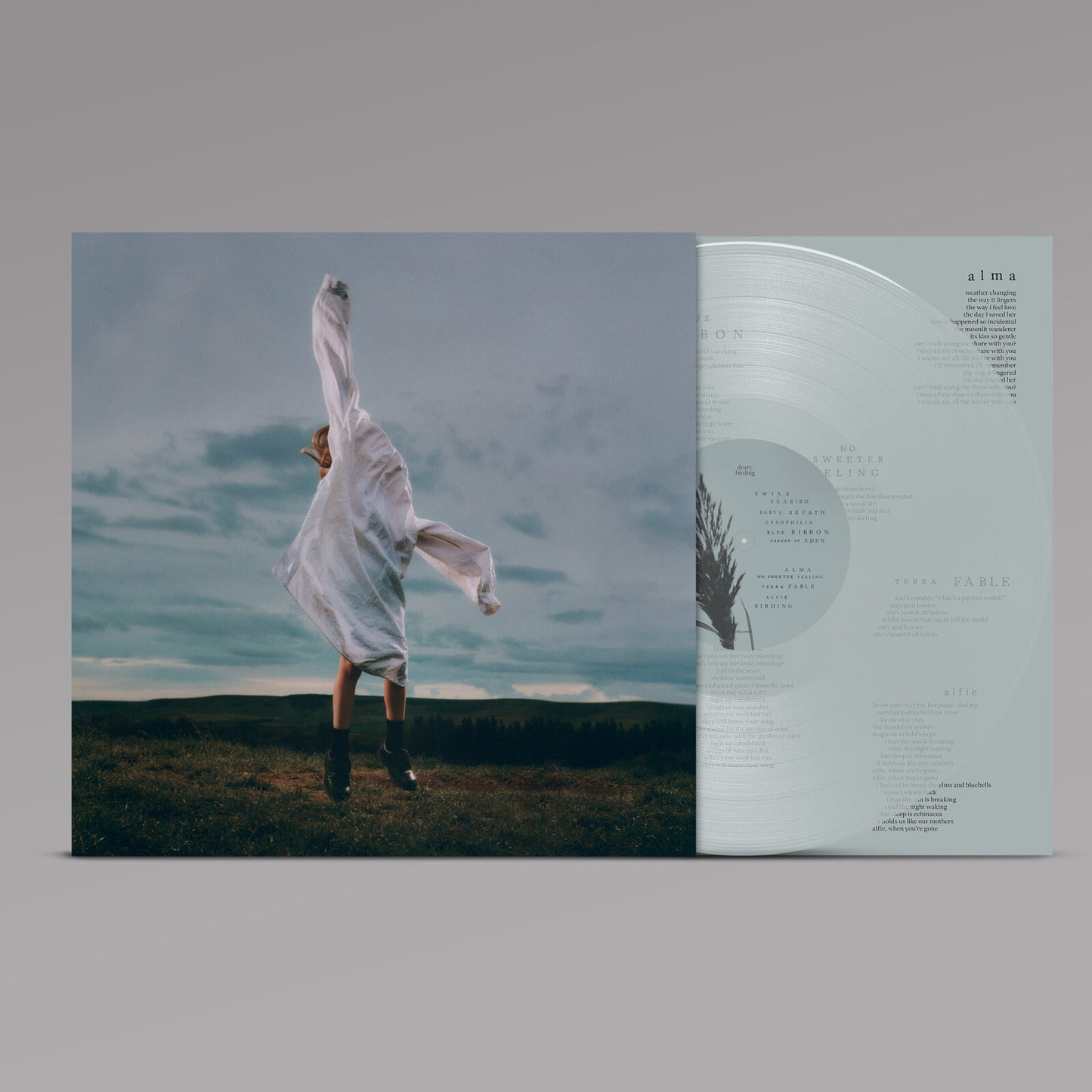 deary - Birding (Transparent Pale Blue Vinyl)