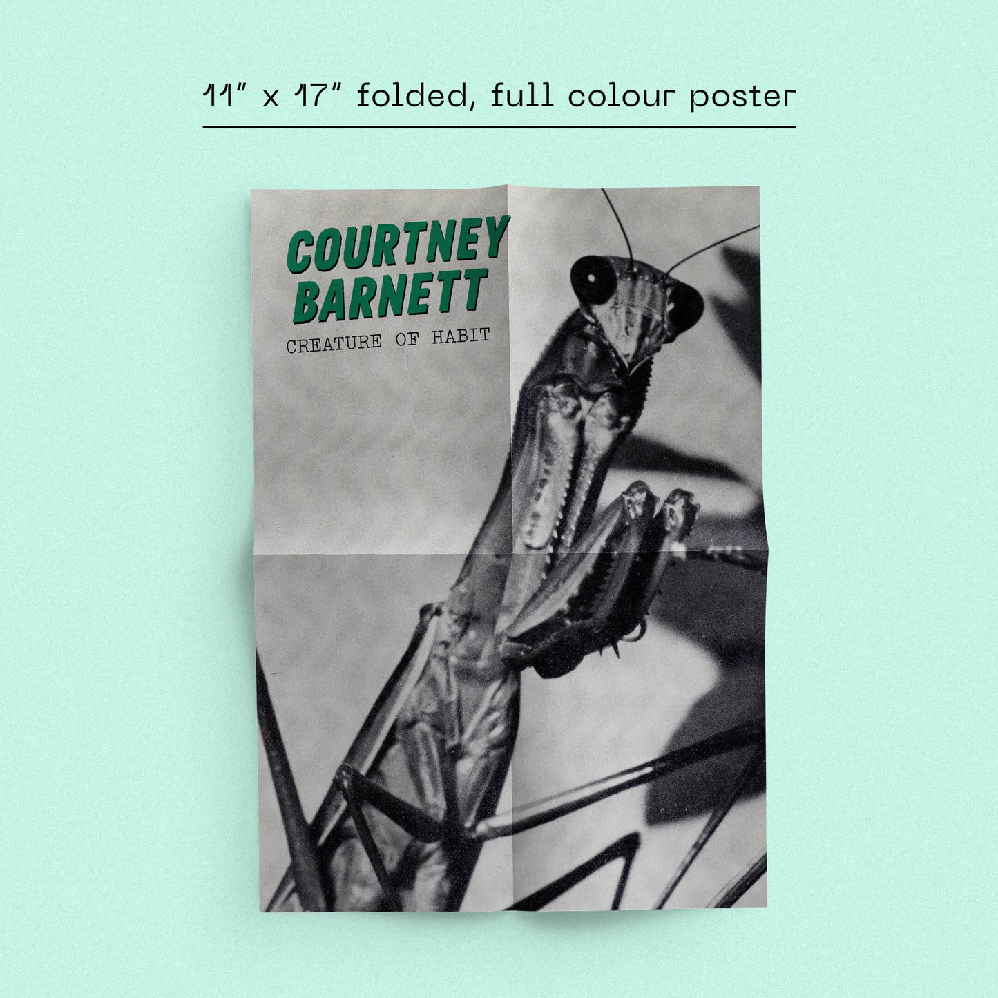 Courtney Barnett - Creature of Habit (Dinked Edition Vinyl)