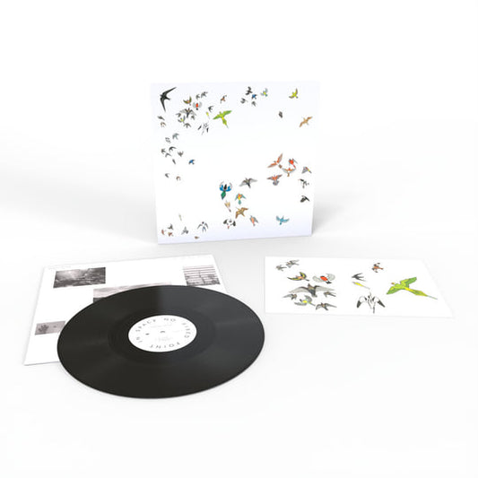 Modern Nature - No Fixed Point In Space (Vinyl)