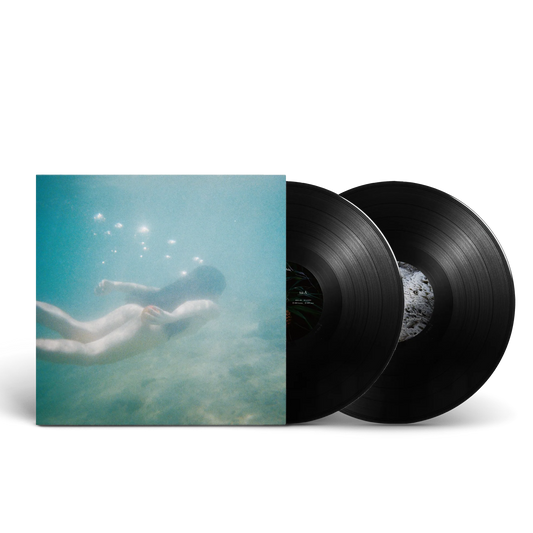 Ichiko Aoba - Windswept Adan (2xLP Vinyl)